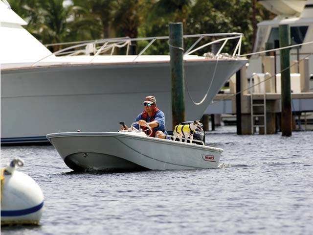 110 Sport 圖片 第9張 - 波士頓威拿運動艇 Boston Whaler Sport Boats