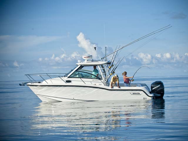 285 Conquest 圖片 第3張 - 波士頓威拿釣魚船 Boston Whaler Fishing Boats