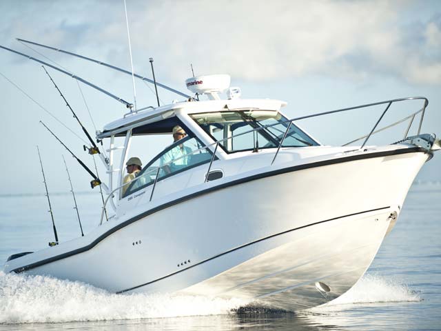 285 Conquest 圖片 第5張 - 波士頓威拿釣魚船 Boston Whaler Fishing Boats