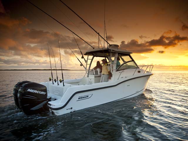 285 Conquest 圖片 第7張 - 波士頓威拿釣魚船 Boston Whaler Fishing Boats