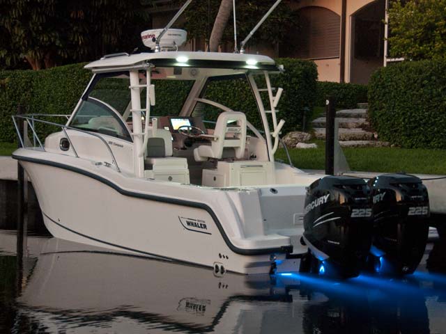 285 Conquest 圖片 第11張 - 波士頓威拿釣魚船 Boston Whaler Fishing Boats