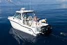 BostonWhaler 285 Conquest 釣魚船圖片02 波士頓威拿 Boston Whaler