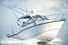 BostonWhaler 285 Conquest 釣魚船圖片05 波士頓威拿 Boston Whaler