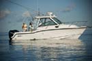 BostonWhaler 285 Conquest 釣魚船圖片06 波士頓威拿 Boston Whaler