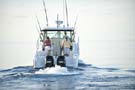 BostonWhaler 285 Conquest 釣魚船圖片08 波士頓威拿 Boston Whaler