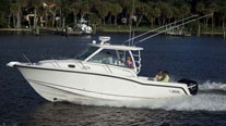 Boston Whaler 315 Conquest 釣魚船