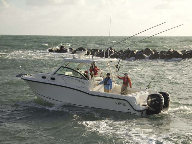 315 Conquest 圖片 第1張 - 波士頓威拿釣魚船 Boston Whaler Fishing Boats