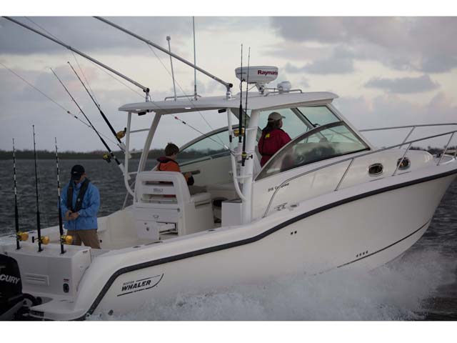 315 Conquest 圖片 第2張 - 波士頓威拿釣魚船 Boston Whaler Fishing Boats