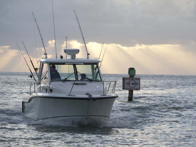 315 Conquest 圖片 第6張 - 波士頓威拿釣魚船 Boston Whaler Fishing Boats