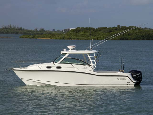 315 Conquest 圖片 第7張 - 波士頓威拿釣魚船 Boston Whaler Fishing Boats