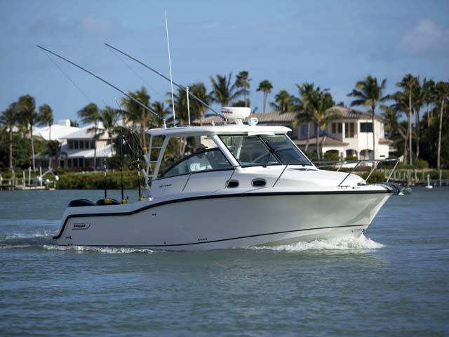 315 Conquest 圖片 第8張 - 波士頓威拿釣魚船 Boston Whaler Fishing Boats