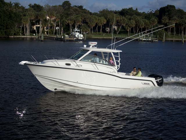 315 Conquest 圖片 第11張 - 波士頓威拿釣魚船 Boston Whaler Fishing Boats