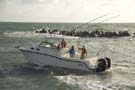 BostonWhaler 315 Conquest 釣魚船圖片01 波士頓威拿 Boston Whaler