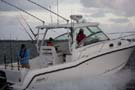 BostonWhaler 315 Conquest 釣魚船圖片02 波士頓威拿 Boston Whaler