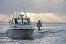 BostonWhaler 315 Conquest 釣魚船圖片06 波士頓威拿 Boston Whaler