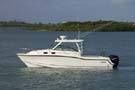 BostonWhaler 315 Conquest 釣魚船圖片07 波士頓威拿 Boston Whaler