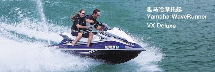 Yamaha Waverunner VX Deluxe