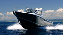 雅馬哈YF310釣魚船 圖片03 Yamaha Fishing Boat